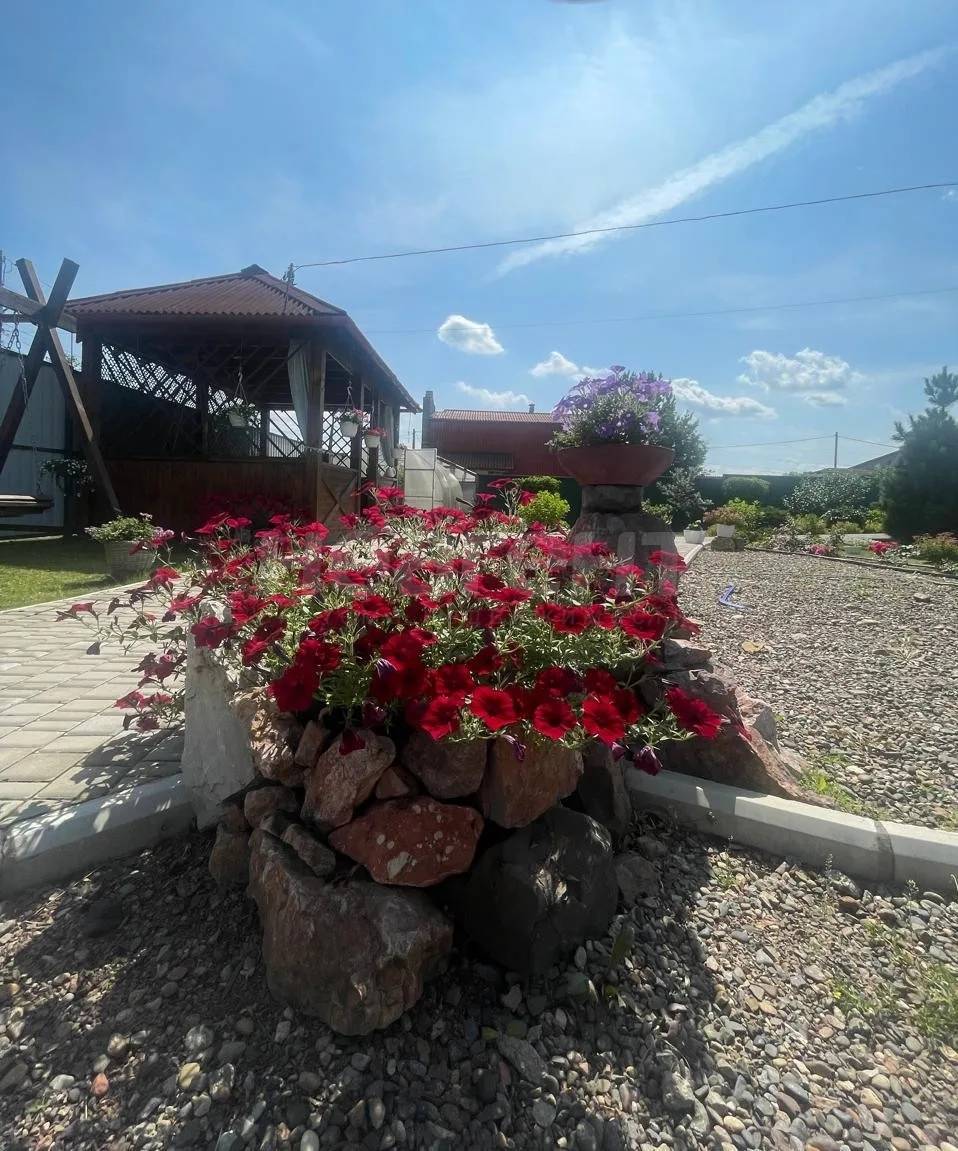 Фотография №19