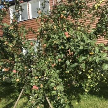 Продается Дом, 350 м²