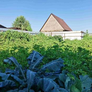 Продается Дом, 165 м²