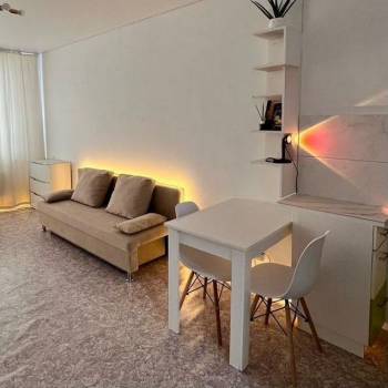 Сдается 1-комнатная квартира, 27,2 м²