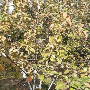 Продается Дом, 48 м²