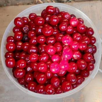 Продается Дом, 71 м²