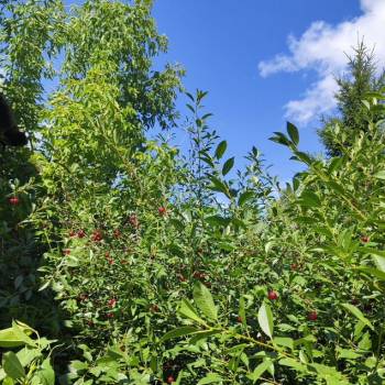 Продается Дом, 71 м²