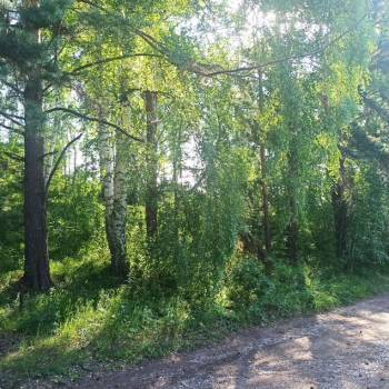 Продается Участок, 600 м²