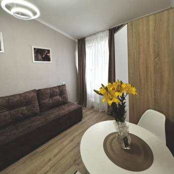 Продается 1-комнатная квартира, 15,9 м²