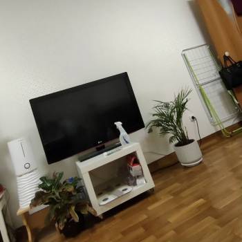 Продается 1-комнатная квартира, 33,6 м²