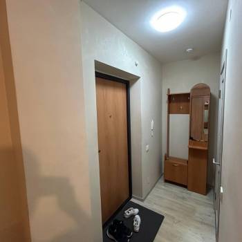 Сдается 1-комнатная квартира, 25,8 м²