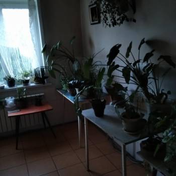 Продается 1-комнатная квартира, 12,3 м²