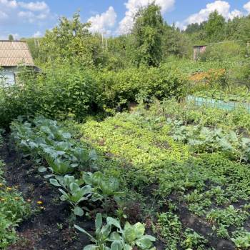 Продается Дом, 30 м²