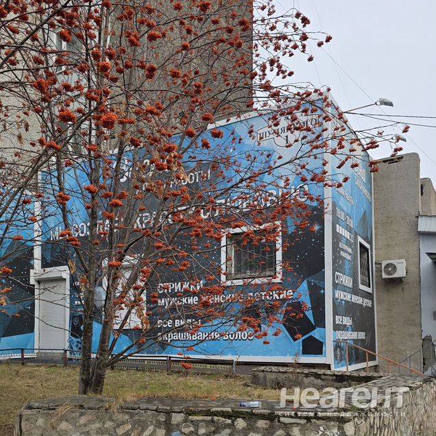 Фотография №3