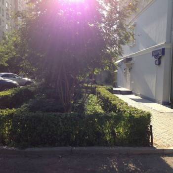 Продается Нежилое помещение, 240 м²