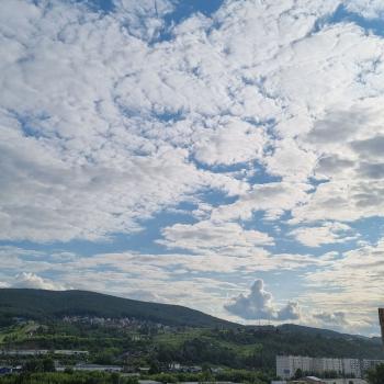 Сдается 2-х комнатная квартира, 49 м²