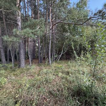 Продается Участок, 1500 м²