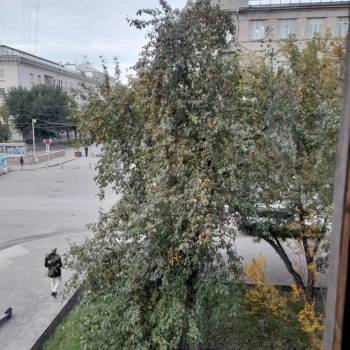 Сдается Многокомнатная квартира, 60 м²