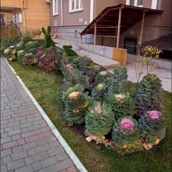 Сдается 1-комнатная квартира, 26 м²