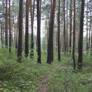 Продается Участок, 2000 м²