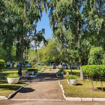 Сдается Нежилое помещение, 246 м²