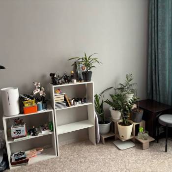 Сдается 2-х комнатная квартира, 39 м²