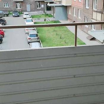 Сдается 2-х комнатная квартира, 60 м²