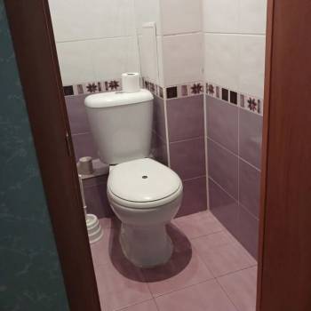 Сдается 1-комнатная квартира, 32,8 м²