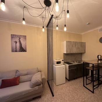 Сдается 1-комнатная квартира, 25 м²