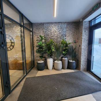 Сдается 1-комнатная квартира, 38 м²
