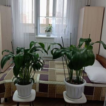 Продается 1-комнатная квартира, 34,7 м²
