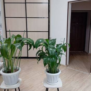 Продается 1-комнатная квартира, 34,7 м²