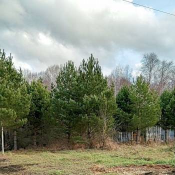 Продается Участок, 1200 м²