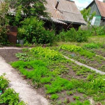 Продается Дом, 20 м²