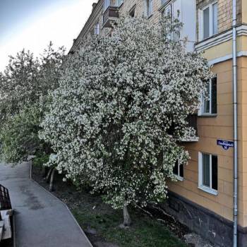 Продается 2-х комнатная квартира, 42,8 м²