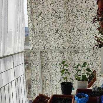 Продается 2-х комнатная квартира, 51,7 м²