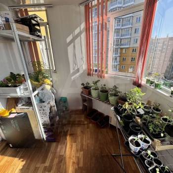 Сдается Многокомнатная квартира, 72 м²