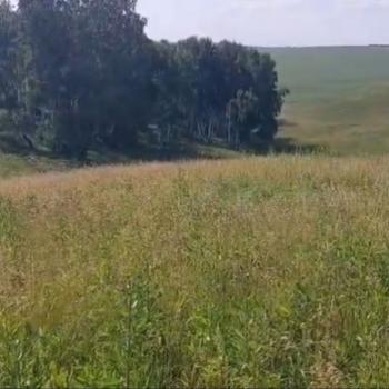 Продается Участок, 3200 м²