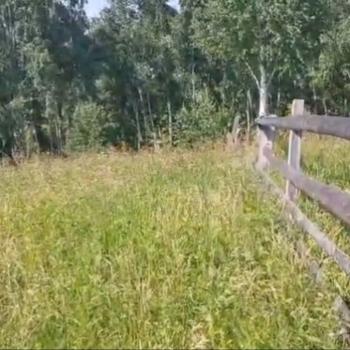 Продается Участок, 3200 м²