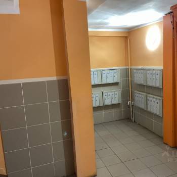 Сдается Многокомнатная квартира, 77 м²