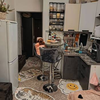 Продается 1-комнатная квартира, 16,8 м²