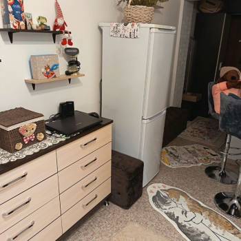 Продается 1-комнатная квартира, 16,8 м²