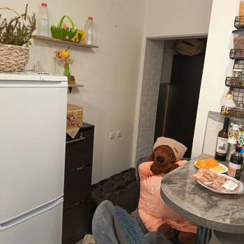 Продается 1-комнатная квартира, 16,8 м²