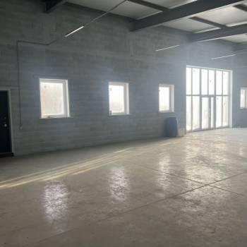 Сдается Нежилое помещение, 280 м²