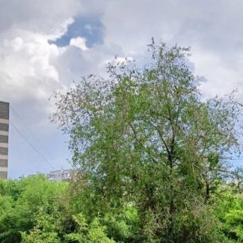 Сдается 1-комнатная квартира, 31,2 м²