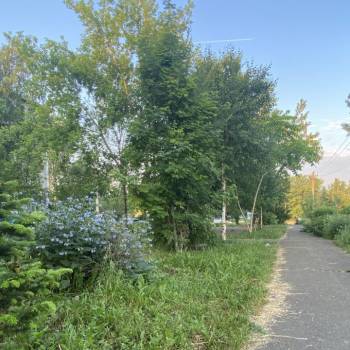 Продается 2-х комнатная квартира, 49,2 м²