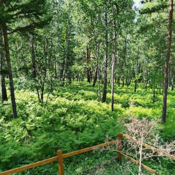 Продается Участок, 600 м²