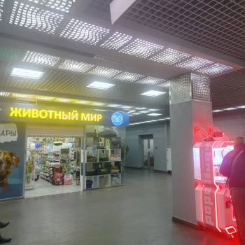 Сдается Нежилое помещение, 35,2 м²