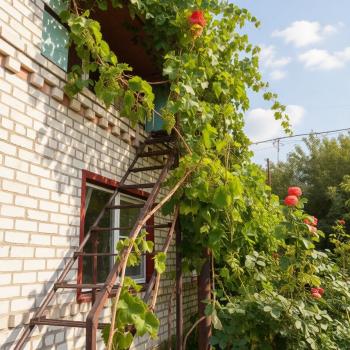 Сдается Комната, 16 м²
