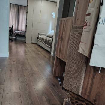Продается 3-х комнатная квартира, 60,6 м²