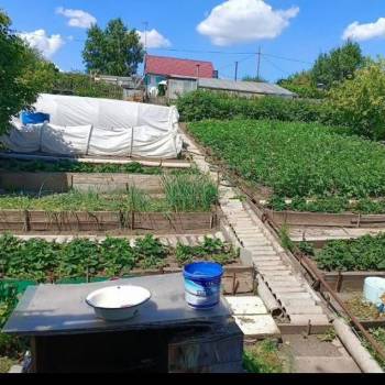 Продается Дом, 24 м²