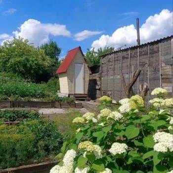 Продается Дом, 24 м²