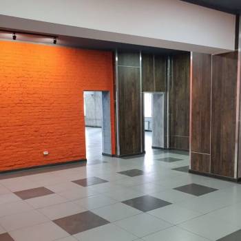 Сдается Нежилое помещение, 246 м²
