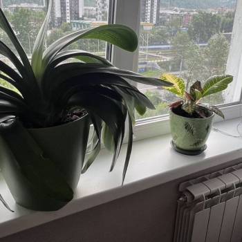 Продается 2-х комнатная квартира, 39,4 м²